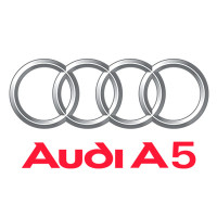audi10